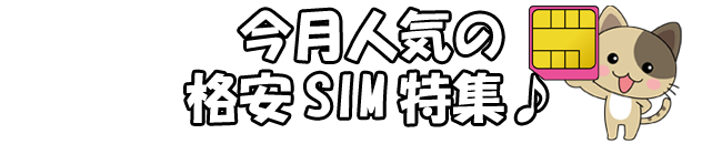 今月人気の格安SIM特集