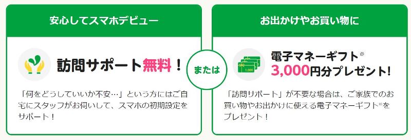 mineo敬老の日キャンペーンの2つの特典「訪問サービス無料」と「3000円分のギフト券」