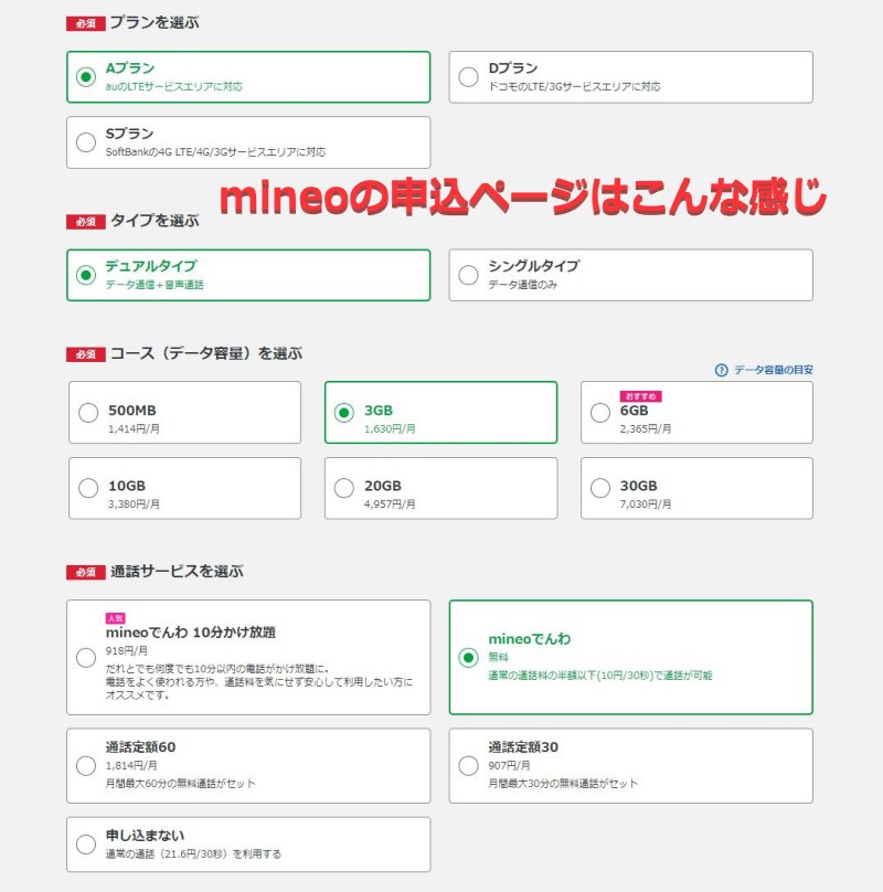 mineoの申込フォームの入力例